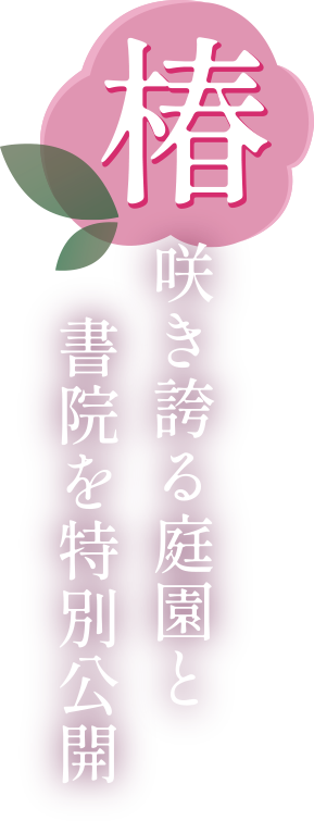 椿が咲き誇る庭園や書院内部を特別公開