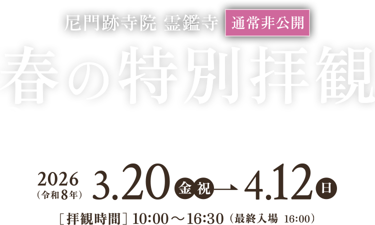 通常非公開 尼門跡寺院 霊鑑寺 春の特別拝観 Reikanji The Camellia Temple