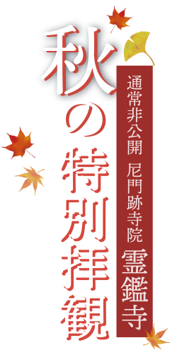紅葉の庭園や書院内部を特別公開 通常非公開 尼門跡寺院 霊鑑寺 秋の特別拝観